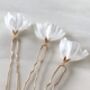 White Flower Hair Pins, thumbnail 4 of 5