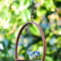 Hanging Bird Feeder Platform Ring, thumbnail 3 of 3