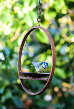 Hanging Bird Feeder Platform Ring, 3 of 3