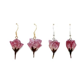 Rose Bud Pressed Flower Silver Or Gold Earrings, 2 of 11