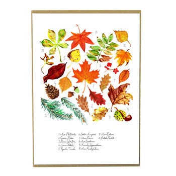 Autumna Fallen Leaves Art Print, 3 of 7