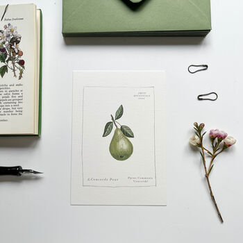Fruit Botanical Postcard Set, 4 of 11
