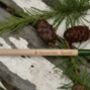 Grow A Christmas Tree Pencil, thumbnail 4 of 5