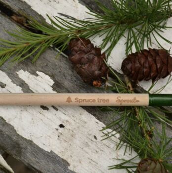 Grow A Christmas Tree Pencil, 4 of 5
