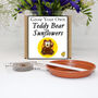 Gardening Gift. Grow Your Own Teddy Bear Sunflower Kit, thumbnail 1 of 6