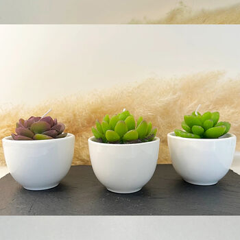 Succulent Candles In White Ceramic Pots, 10 of 10