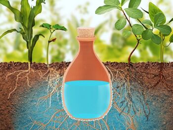 Terracotta Olla Irrigation Pot Watering Reservoir H32cm, 2 of 4