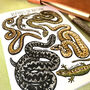 Reptiles Of Britain Greeting Card, thumbnail 6 of 11
