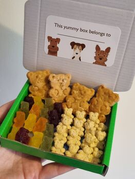 Dog Treat Box The Bear One, 2 of 6