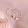 White Opal Swarovski Crystal Hoop Earrings, thumbnail 2 of 7