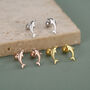 Sterling Silver Dolphin 18 G Screw Back Earrings With Ball Backs, thumbnail 2 of 11