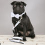 The Putney Blue Striped Dog Collar Bow Tie And Lead Set, thumbnail 6 of 6