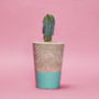 Concrete Pot Tall With Cactus/ Succulent In Turquoise, thumbnail 1 of 3