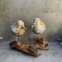 Colourful Hand Carved Wooden Birds On Teak Root Stand, thumbnail 3 of 12