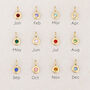 Personalised Birthstone And Zodiac Charm Necklace, thumbnail 4 of 5