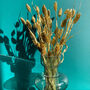 Golden Luxe Dried Phalaris Grass | Letterbox Flowers, thumbnail 2 of 4