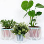Origami Self Watering Eco Plant Pot: 18cm | Blue Cord, thumbnail 5 of 5