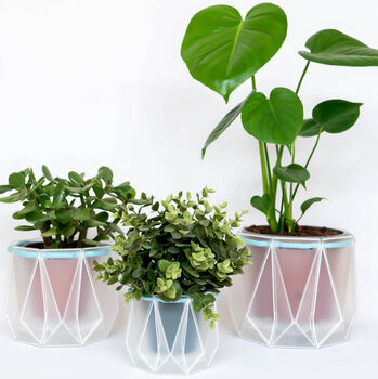 Origami Self Watering Eco Plant Pot: 18cm | Blue Cord, 5 of 5