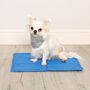 Blue Cooling Mat For Dogs, thumbnail 3 of 7