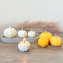 Multi Colour Pumpkin Candle Set Halloween Decoration, thumbnail 4 of 7