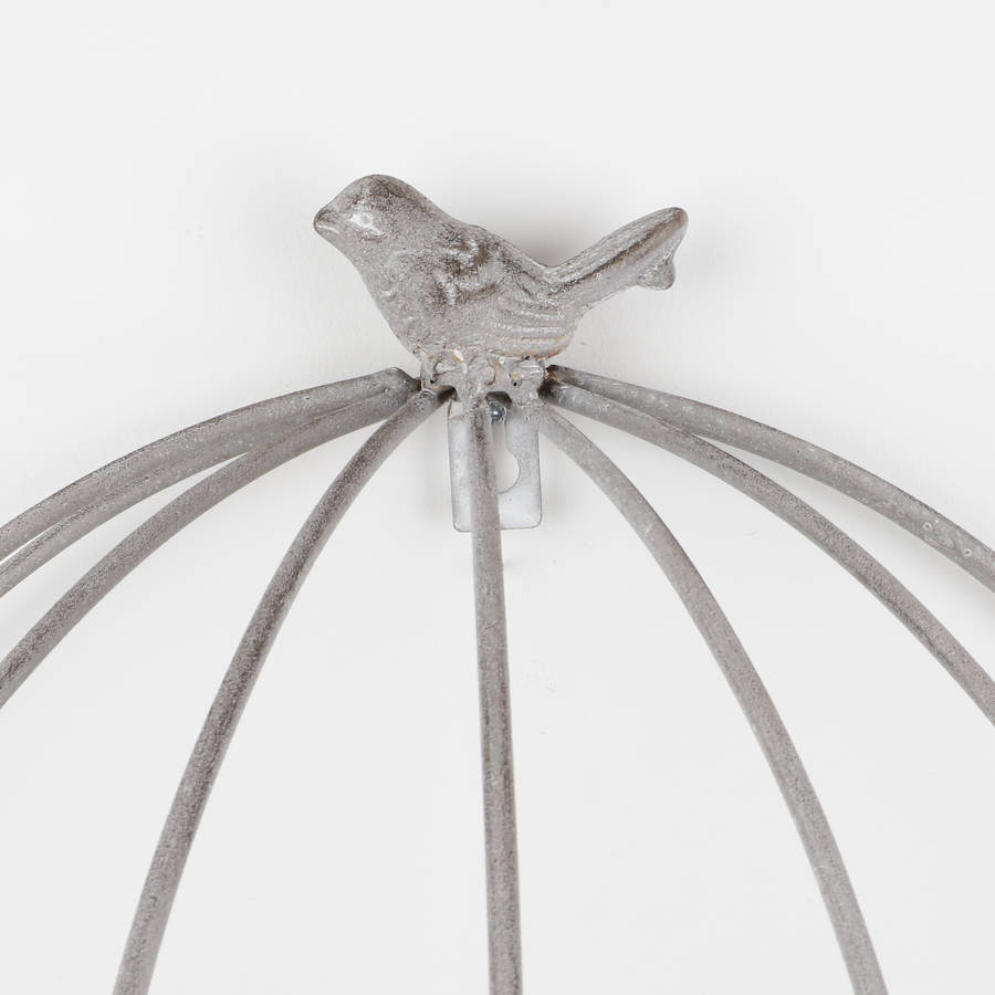 Set Of Two Wall Mounted Bird Cage Plant Holders By Dibor