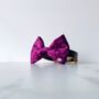 Party Luxe Velvet Dog Bow Ties, thumbnail 4 of 12