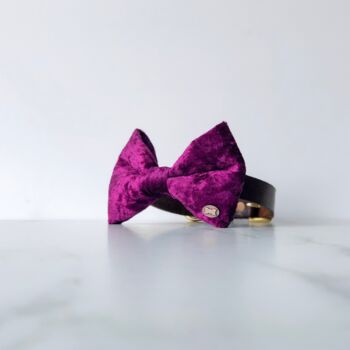 Party Luxe Velvet Dog Bow Ties, 4 of 12