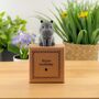 Hippo Birthday Tiny Little Gifts, thumbnail 1 of 3