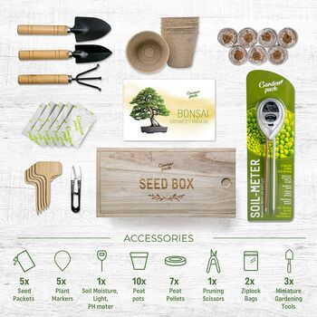 Grow Your Own Bonsai Tree Kit, 3 of 6
