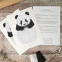 Personalised Baby Panda Footprint Kit, thumbnail 2 of 3