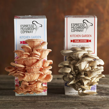 Gift Bundle For Mushroom Lovers By Espresso Mushroom Company