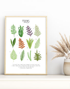 Ferns Print, 2 of 4