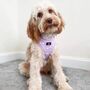 Dog Harness | Rainbows And Butterflies, thumbnail 5 of 8