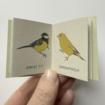 Tiny Book Of Garden Birds Handmade Mini Nature Book, 4 of 10