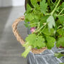 Set Of Three Quilted Effect Metal Bucket Planters, thumbnail 6 of 7