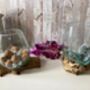Large Molten Glass Bowl On Driftwood Handmade Pot Pourri Nuts Floating Flower Bowl, thumbnail 2 of 10