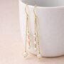 Gold Plated Sterling Silver Multi Freshwater Pearl Long Chain Drop Earrings, thumbnail 1 of 4