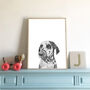 Dalmatian Dog Portrait Print, thumbnail 1 of 3