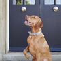 'I've Misplaced My Humans' Dog ID Tag, thumbnail 3 of 12