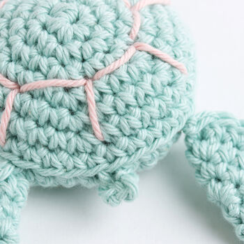 Sea Turtle Easy Crochet Kit, 5 of 10