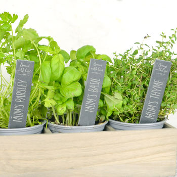 Personalised Slate Herb Plant Markers, 2 of 4
