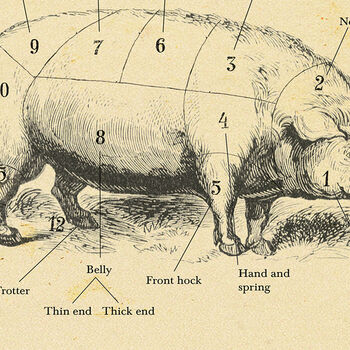 British Pork Butcher Cuts Print, 5 of 8