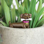 Adorable Dogs Plant Pot Markers, thumbnail 3 of 4