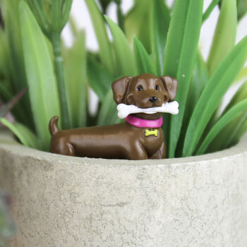 Adorable Dogs Plant Pot Markers, 3 of 4