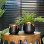 Gold Drip Plant Pots Set Of Two, thumbnail 1 of 2