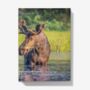 A5 Hardback Notebook Featuring A Canadian Bull Moose, thumbnail 1 of 4