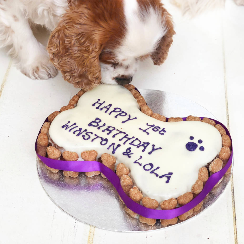 Подарок собаке на день рождения