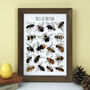 Bees Of Britain Illustrated Postcard, thumbnail 11 of 11