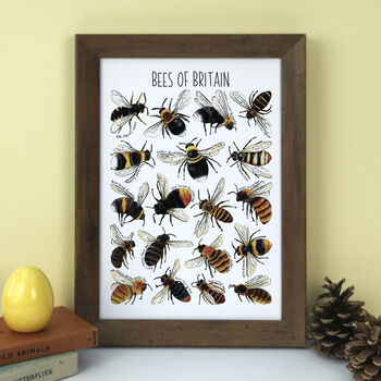 Bees Of Britain Illustrated Postcard, 11 of 11