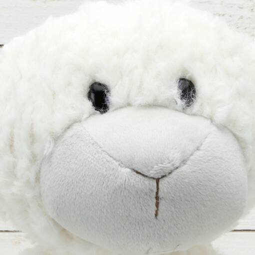 jomanda sheep